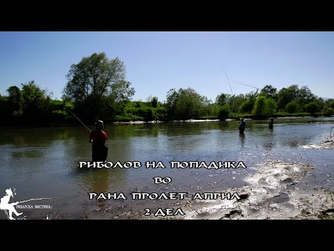 Видео: Риболов на попадика 2 дел. "Vimba Fishing in Greece" , nosara, Malamída Попадика, еѓупка или легла,