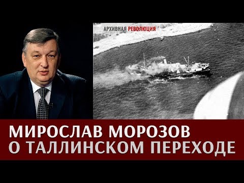 Видео: Мирослав Морозов о таллинском переходе