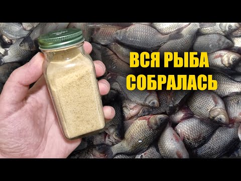 Видео: ЭТО НАДО ВИДЕТЬ! У РЫБАКОВ ВОЛОСЫ ДЫБОМ ВСТАЮТ! ВОТ ЧТО ДОБАВЛЯЮ ДЛЯ БЕШЕНОГО КЛЁВА
