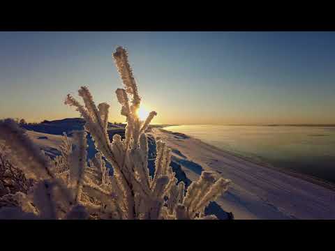 Видео: 27.10.2023 Туман и иней, и велосипед, и фантом.