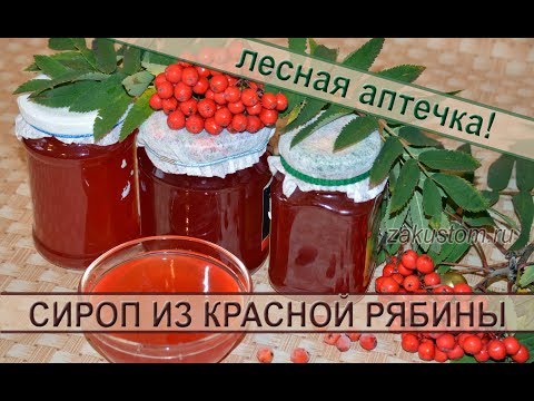 Видео: Сироп из ягод красной рябины: рецепт полезной, вкусной заготовки на зиму. Syrup berries of red Rowan