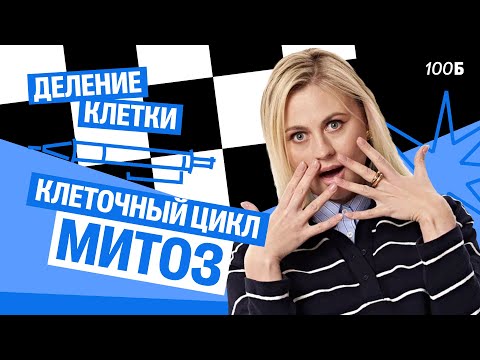 Видео: Клеточный цикл. Митоз | Интенсив "Деление клетки" | Ксения Напольская