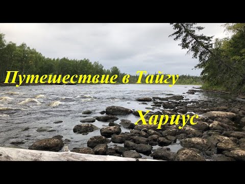 Видео: Ловля Хариуса в Карелии. Таежная река. День 3-5.