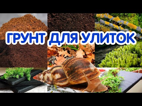 Видео: Грунт (наполнитель) для улиток ахатин. Кокосовый субстрат, торф, мох, земля и маты