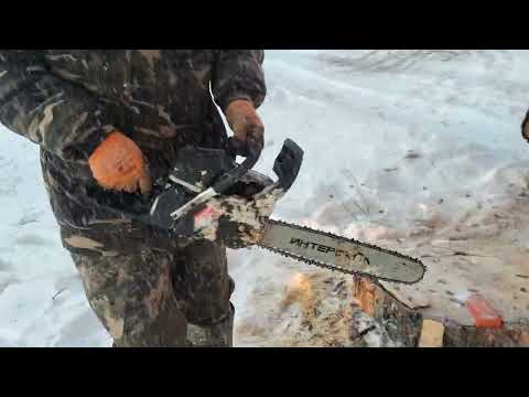 Видео: Валка дерева бензопилой Интерскол ПЦБ-20-58Л