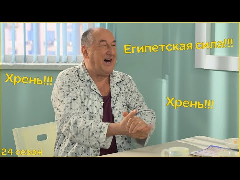 Видео: Воронины "Хрень" и "Египетская сила"|24 сезон!