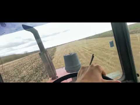 Видео: ДИСКУЕМ БДТ-3 И ЛТЗ-155 ЗУ