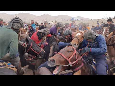 Видео: Бузкаши гараути купкари улок аз тарафи дилмурот човандоз 1 қисим 2022