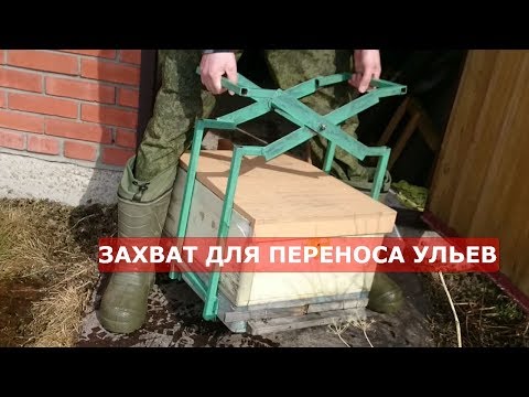 Видео: сибирский пчелоблог 31.03.19. выставка пчел 2019 / новый захват для переноски ульев