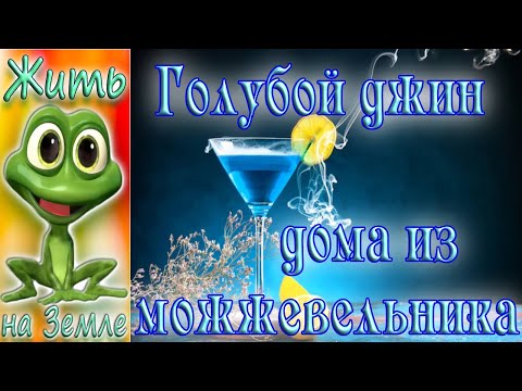 Видео: Голубой можжевеловый джин.  Рецепт приготовления.