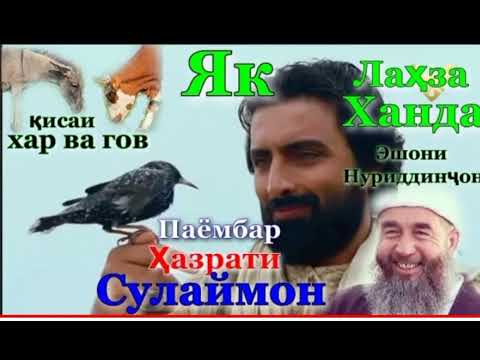 Видео: Як лахза ханда бо Эшони Нуриддинчон аз киссаи Хазрати Сулаймон #рекомендации #эшонинуриддин #юмор
