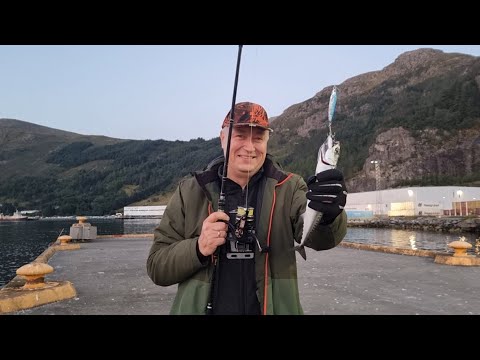 Видео: Швеция рулит. Это вам не Китай. Рыбалка с пирса.