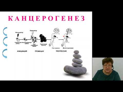 Видео: Онкология 1.Введение в онкологию