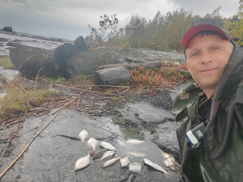 Видео: Идущий по воде!Рыбалка в Арктическом море!Осеннее тестирование.номер 3