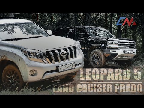 Видео: Сравниваем Leopard 5 и LC Prado на лёгком бездорожье, кто кого? | #byd #prado #toyota