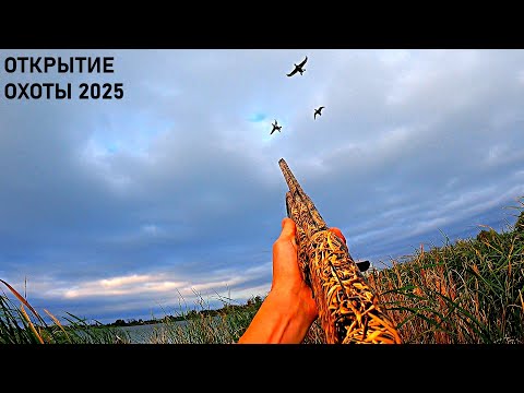 Видео: ОТКРЫТИЕ ОХОТЫ НА УТКУ 2025. ПЕРВАЯ ОСЕНЬ СПАНИЕЛЯ ДАРЫ / MAX HUNTER