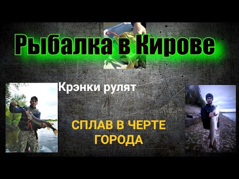 Видео: РЫБАЛКА В КИРОВЕ НА КРЭНКИ. СПЛАВ В ЧЕРТЕ ГОРОДА. ВЕЧЕРНИЙ СУДАК.