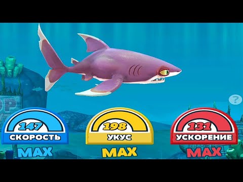 Видео: 🌍Hungry Shark World Обзор на (🦈Рифовая Акула🦈)🌎