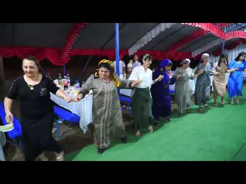 Видео: Али и Раиля. свадьба 4ЧастьТой Ростовская обл
