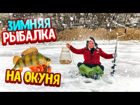 Видео: КРУТАЯ ЗИМНЯЯ РЫБАЛКА НА ОКУНЯ! ПРОМОКЛИ ДО НИТКИ! НОВОДНИЕ ПРИКЛЮЧЕНИЯ! Огромное водохранилище!