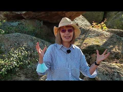 Видео: Мегалитите край Брезово - 2 част/ The Megaliths near the town of Brezovo - 2 part