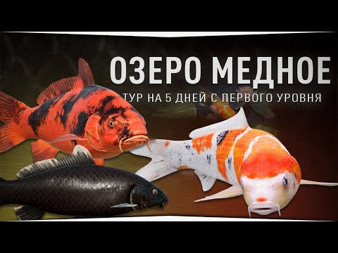 Видео: Рыболовный тур на Медное озеро с первого уровня!  • Русская Рыбалка 4