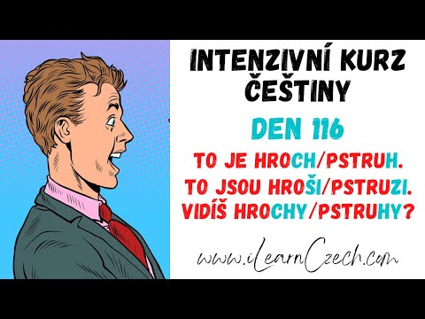 Видео: Курс чешского 116: Множественное число одушевленных существительных мужского рода -CH/-ŠI и -H/-ZI