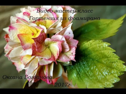 Видео: Гортензия из фоамирана. Мастер-класс flowers fom