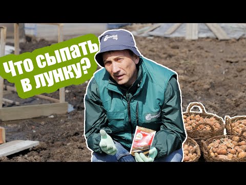 Видео: Посадка картофеля: что внести в почву от вредителей? Какие удобрения внести под картофель