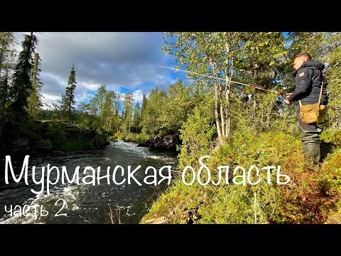 Видео: ДИКАЯ ФОРЕЛЬ НА СПИННИНГ. Рыбалка в Мурманской области ч. 2