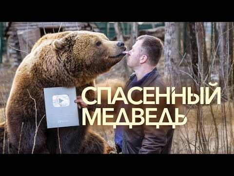 Видео: "Любой зверь - это личность" История дружбы огромного медведя и пилота Андрея Иванова / Филатов