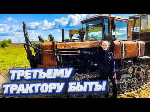 Видео: Приезд главы семейства! ДТ 75 в нашем ХОЗЯЙСТВЕ! | Молодая Ферма