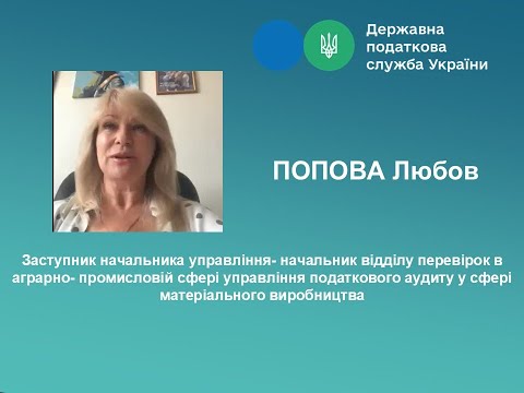 Видео: Податкові перевірки