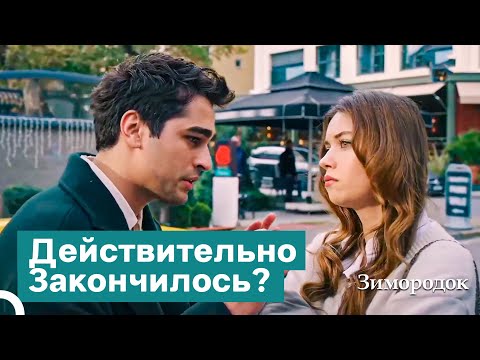 Видео: Ты Должен Принять Разлуку, Ферит! | Зимородок