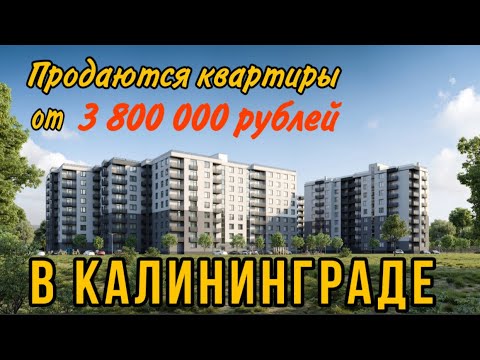 Видео: Квартиры в Калининграде от 3,8 млн/руб. Обзор.