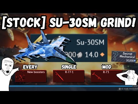 Видео: [STOCK] Су-30СМ СЛОМАН!💀(На самом деле может УНИЧТОЖИТЬ игру) | САМЫЙ УДОВЛЕТВОРИТЕЛЬНЫЙ гринд ВС...