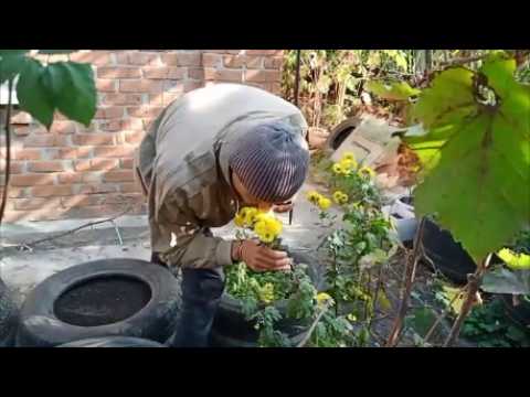 Видео: ВСЕХ С ПРОШЕДШИМ ПРАЗДНИКОМ!!! НОВАЯ МЕТЛА МЕТЁТ ПО НОВОМУ! ВКУСНЫЙ УЖИН НА МАНГАЛЕ!