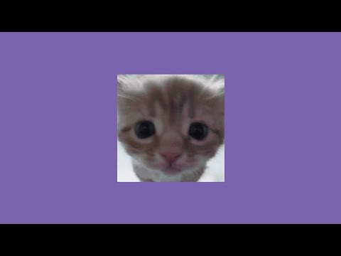 Видео: виктор цой - группа крови (speed up)