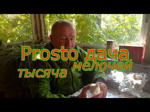 Видео: Хранение, соление и мочение озимого чеснока