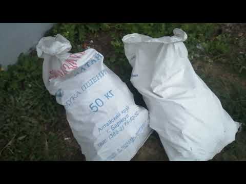 Видео: "Камаз принтеров привезли"