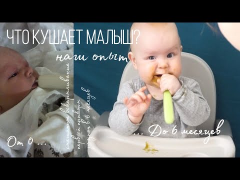 Видео: ЧТО КУШАЕТ МАЛЫШ ОТ 0 ДО 6 МЕСЯЦЕВ 🍼 // НАШ ОПЫТ // СМЕШАННОЕ ВСКАРМЛИВАНИЕ // РАННИЙ ПРИКОРМ