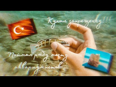 Видео: Рыбалка в Турции. Рыбалка в Кемере. Новая рыба. Купил запрещёнку. Финальная часть.