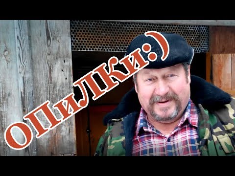 Видео: Баня из ОПИЛОК у д Саши # Бане уже 12 лет