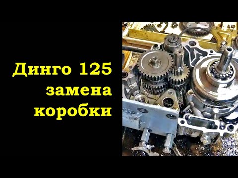 Видео: Динго 125 замена коробки