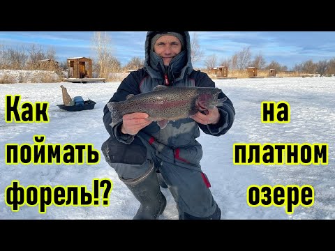 Видео: ЛОВЛЯ ФОРЕЛИ ЗИМОЙ/ФОРЕЛЕВОЕ ХОЗЯЙСТВО/КАК ПОЙМАТЬ ФОРЕЛЬ НА ПЛАТНИКЕ?/ФОРЕЛЬ НА ВИБЫ/ЗИМНЯЯ РЫБАЛКА