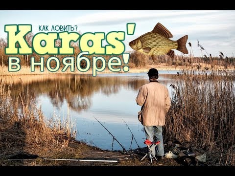 Видео: Ловля карася в ноябре от а до я! Будешь таскать одну за одной!