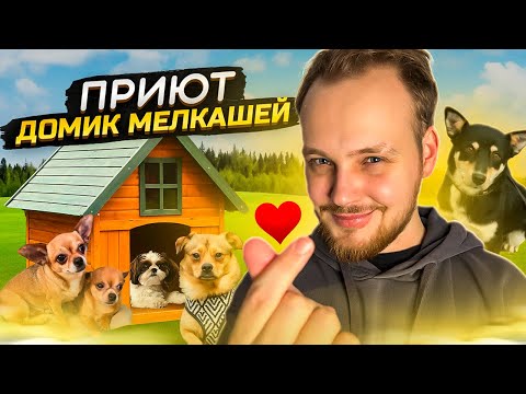 Видео: ВСЯ ПРАВДА ПРО ПРИЮТ "ДОМИК МЕЛКАШЕЙ"