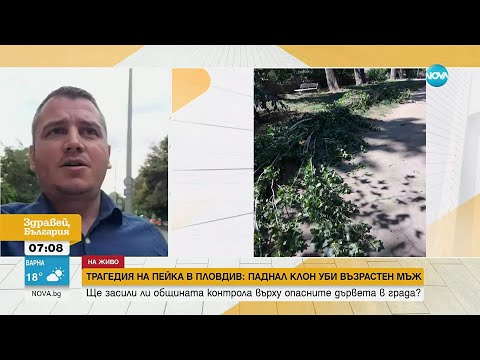 Видео: Клон падна и уби възрастен мъж в Пловдив