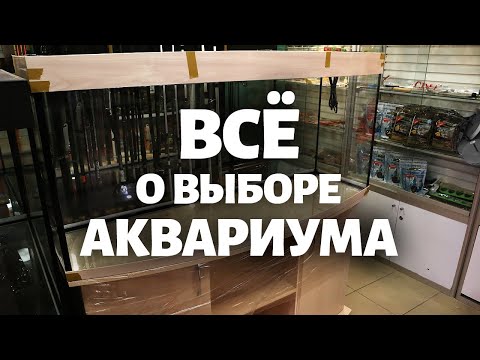 Видео: Какой аквариум лучше? Всё о выборе аквариума