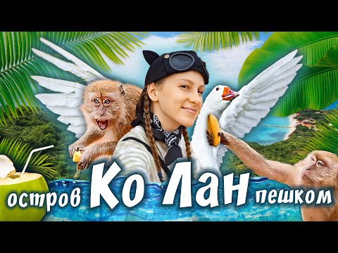 Видео: ВЕСЬ Ко Лан ПЕШКОМ. Обзор Пляжей Острова